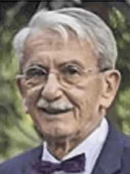Nebojša  Perić