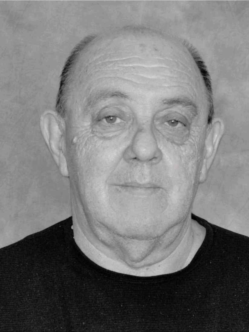 Almer  Begić