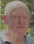 Jozo  Rozić