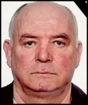 Dominik  Spajić