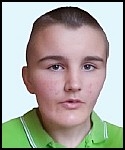 Nikola  Sulić