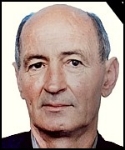 Zvonko Brnadić -  Grgić