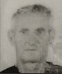 Pavo  Brčina