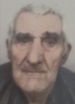 Ivan  Pavlović