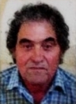 Mirko  Mamić