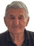 Dominik  Brkić