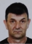 Zoran Matić  Jozin
