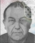 Zdravko  Curić