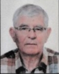 Ante  Renić