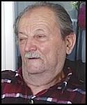 Nedjeljko  Šakota