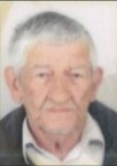 Luka  Babić