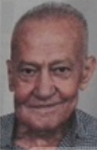 Ilija  Radoš