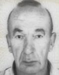 Vinko  Perutina