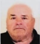 Vinko Mihaljević -  Šumar