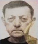 Mirko Medo  (Martinov)