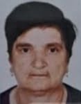 Ruža Radoš -  Šuička