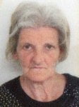 Danica  Markotić