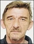 Ivan Mikolčević -  Šokac