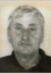 Dragomir  Brzović