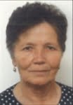 Cvija  Šutalo