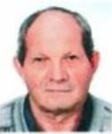 Ivan Grgić –  Lulić
