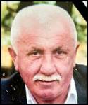 Zdravko Kožul –  Nedić