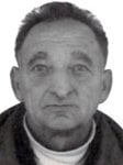 Vlado  Bokšić