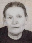 Ruže  Brajko