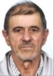 Ante  Zvonić