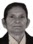 Fila Kozina Pok.  Ante