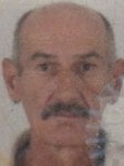 Veselko Antić  (Ševo)