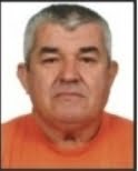 Zvonko  Brajković