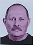 Nikola  Bagarić-Štekušić