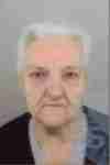 Ivka  Brizar