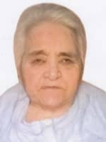 Vilka Vila  Mišetić