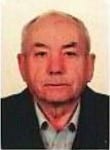 Petar Krajinović -  Petruka