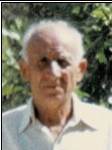 Niko  Alilović