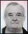 Ivan  Miletić