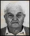Stojan  Arapović
