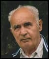 Rade Prlić -  Šumar