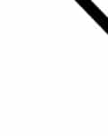 Jure  Vujević