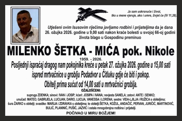 Milenko Šetka –  Mića