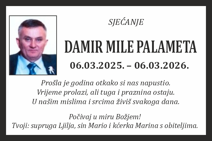 Damir Mile  Palameta