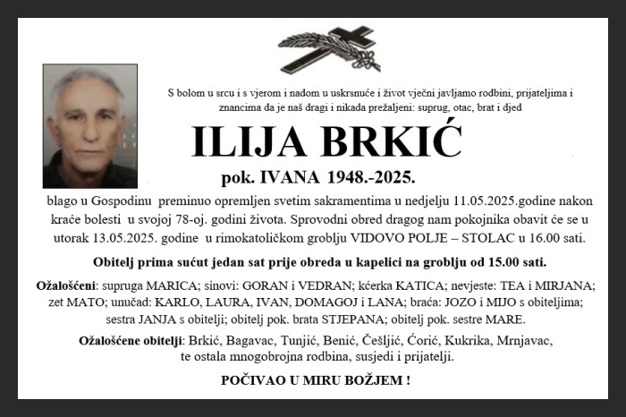 Ilija  Brkić