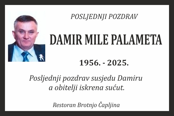 Damir Mile  Palameta