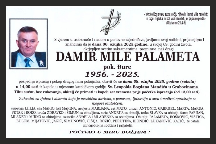 Damir Mile  Palameta