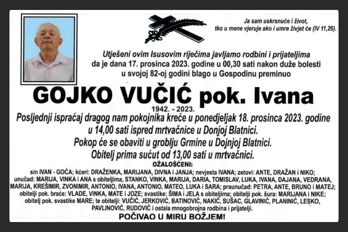 Gojko  Vučić