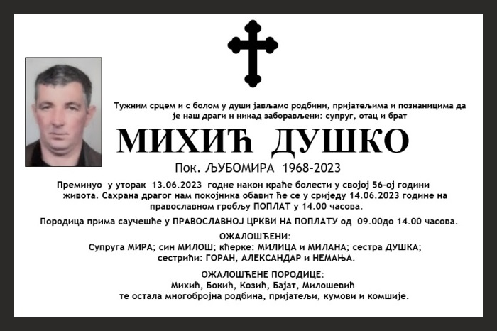Михић  Душко