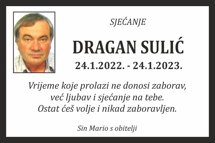 Dragan  Sulić