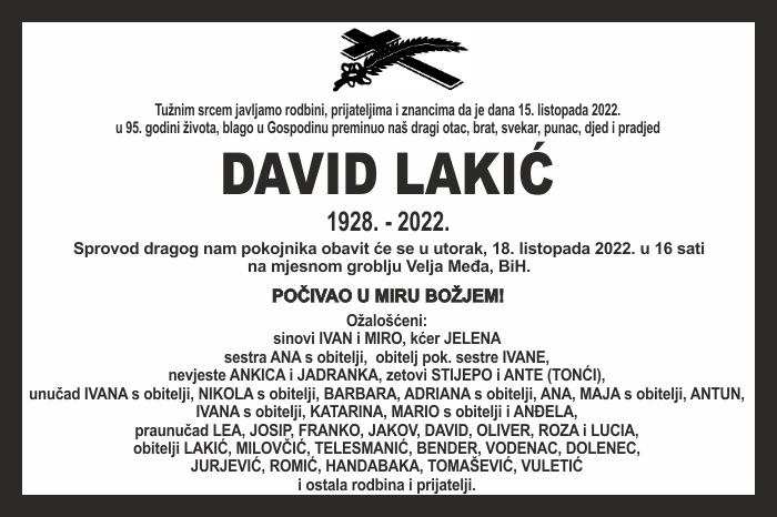David  Lakić